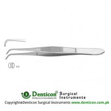 Graefe Dissecting Forcep 1 x 2 Teeth Stainless Steel, 9.5 cm - 3 3/4"
